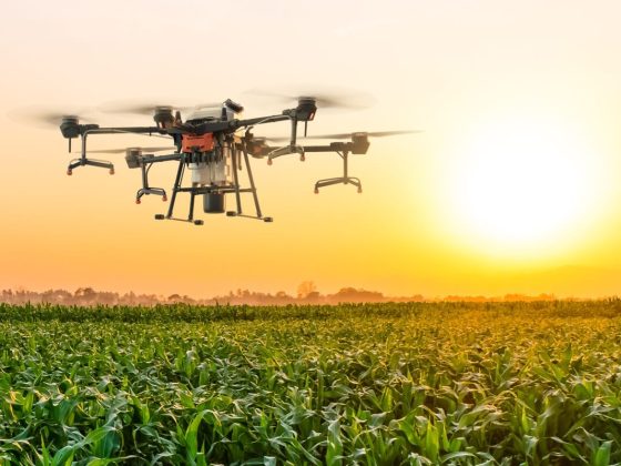 Les Tendances du Secteur Agricole en 2024 : Innovations et Défis