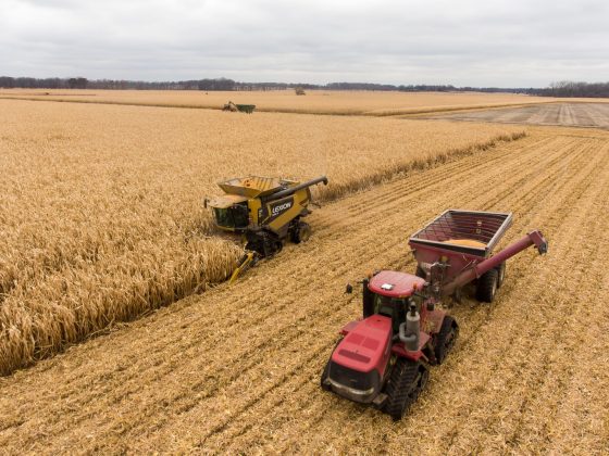 Comment une Logistique Efficace Transforme le Secteur Agricole ?